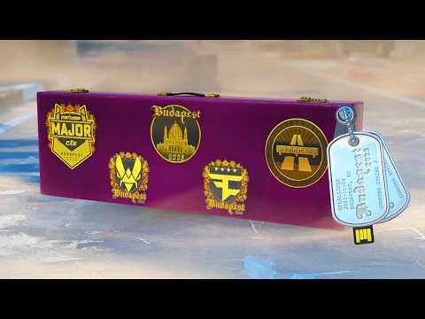 NEW Budapest Charms & CS2 CASES REMOVED...