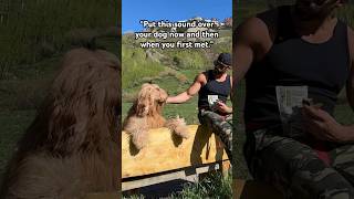 The night I met my soul dog. #goldendoodle #puppy #transformation #dogdad