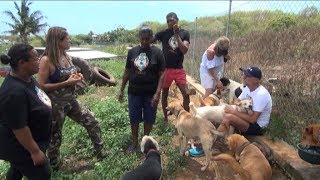 MBC ANIMALIA TV SHOW || HAPPYTAILS