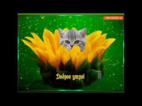 ♥️ДОБРОЕ  УТРЕЧКО♥️ ЧУДЕСНОГО  ДНЯ !!!