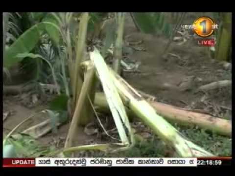 sirasa 10pm news 13 25102014