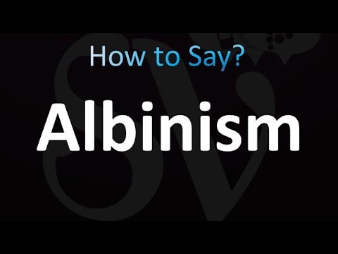 How to Pronounce Albinism (correctly!)