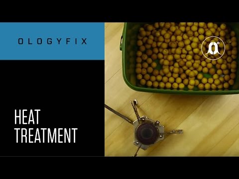 CARPologyTV - OlogyFix Heat Treatment