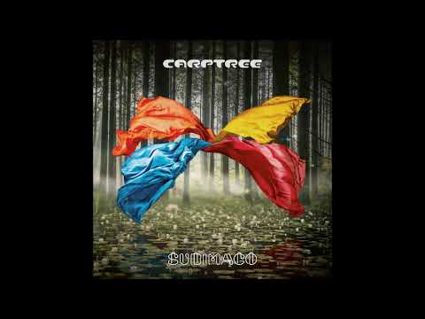 Carptree (Sweden) - Subimago (2018) - Sum of all senses