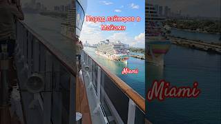 Парад лайнеров в Майами #cruiseship #miami #cruisetour #umarkeyn #4k