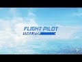 Flight Pilot 31 Level Glider Altitude Pilot