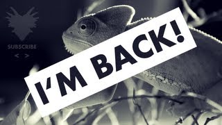 Doctrine - Grind3r [FREE Download]