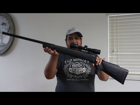 Urban 22 from Gamo USA, Lightweight, Accurate, VERY Affordable - Airgun Review by AirgunWeb