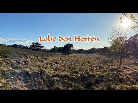 Lobe den Herren, den mächtigen König der Ehren EG 316