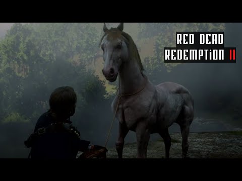 Domando um Andaluz Perlino Padrão | RDR II
