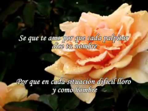 Te Amo Tanto video