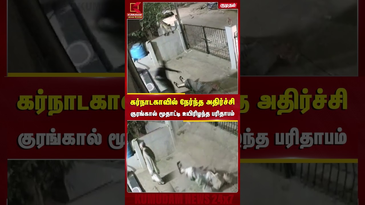 கர்நாடகாவில் நேர்ந்த அதிர்ச்சி... குரங்கால் மூதாட்டி உயிரிழந்த பரிதாபம் | KARNATAKA | MONKEY