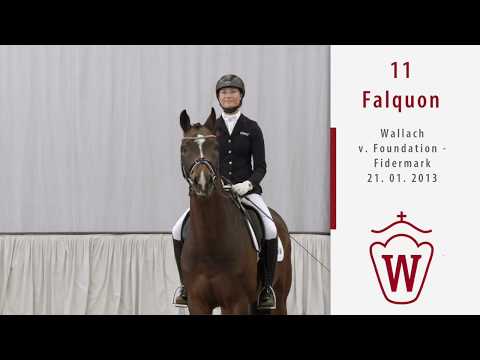 11 Falquon  Wallach v. Foundation - Fidermark