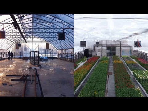 Система микроклимата с нуля в теплице 410 м² 