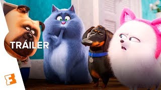 La Vida Secreta de tus Mascotas 2 – Tráiler Final (Español Latino)