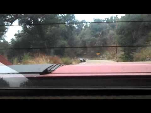 Thumbnail for Ferrari 308 being chased by a BMW M5 by Ferrari, BMW, BMW M5