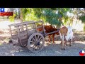 Silvia Infantas y Los Baqueanos  - Carretita Chancha