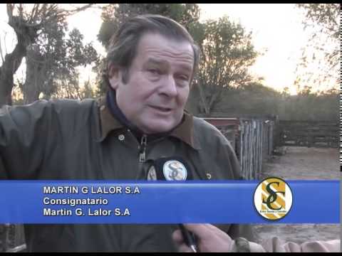 Martin G. Lalor S.A. - Tandil - MARTIN G. LALOR - 30/05/2014
