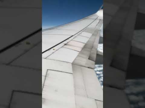 Watching South Park in a plane is a strange vibe #southpark #fyp