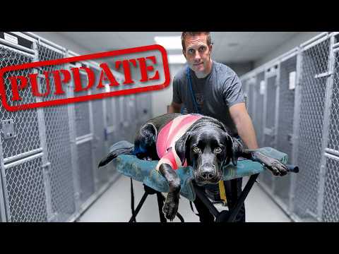 Olive’s Life is Changing Forever At The Farm!