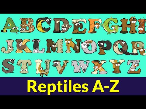 A-Z Reptiles with Alphabetimals | Reptiles for Kids | Learn ABC animal Book | A-Z Animals Flashcards