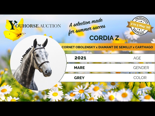 Cordia Z