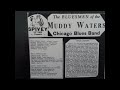 Muddy Waters Band Watermelon Man - Orphaned Sounds Muddy Waters Band Watermelon Man