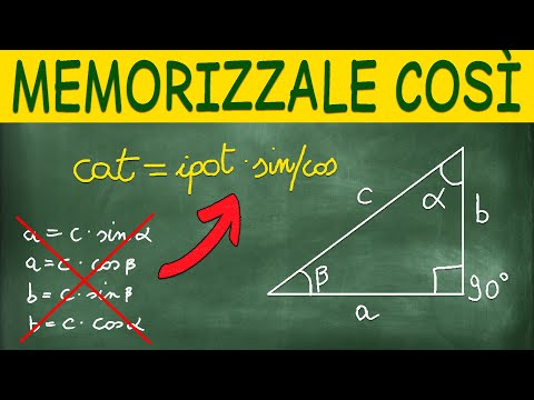 Impara Così le Formule con Sin e Cos nei Triangoli Rettangoli - Trigonometria - Fisica (Vettori)