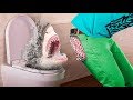 17 смешных пранков над друзьями на 1 апреля! 17 смешных пранков над друзьями на 1 апреля!