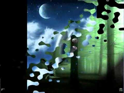 Ali Norouzi & Armin Tanhaei