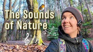 Nature's Beauty Through Photos and Sounds | Immersive Audio-Visual Experience