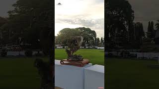 Download lagu 3 Jenis Gaya Bonsai Santigi Yang Sangat MengInspirasi (pemphis acidula) mp3