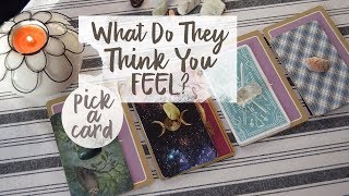 What Do They Think You Feel | PICK A CARD | Timeless Tarot