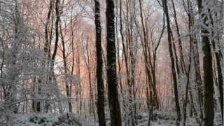 preview picture of video '16.01.13   neige a les landes de blendecques dans le pas de calais'