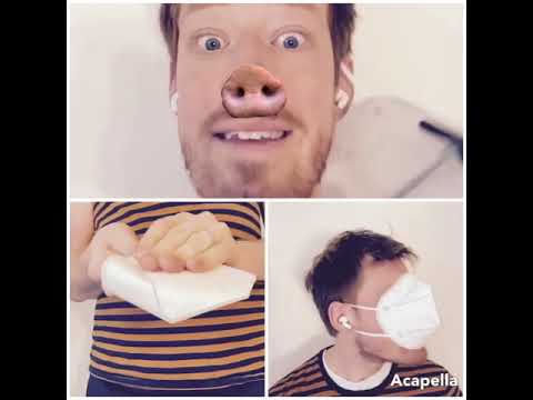 Corona ist ein Schwein