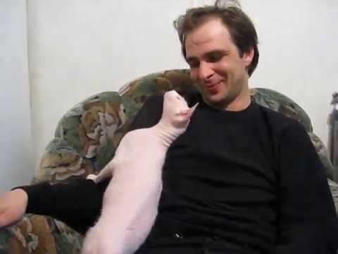 Супер сфинкс тащится