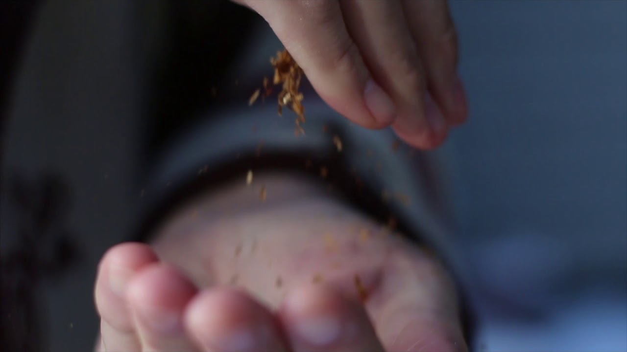 Video Poster