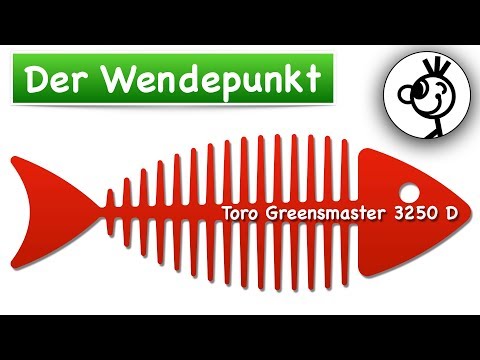 TORO GREENSMASTER 3250 D komplett zerlegen? Lohnt sich das?