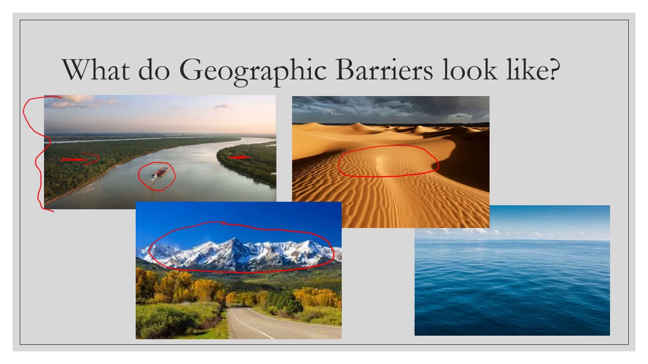 What are famous artist quotes? Tipseri