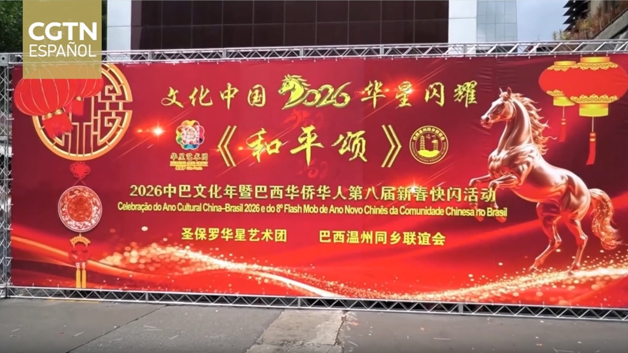 Se celebró en Sao Paulo un flash mob de danzas tradicionales y artes marciales de China