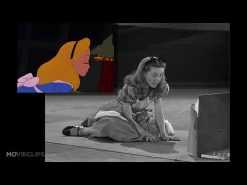 "ALICE IN WONDERLAND" LIVE ACTION REFERENCE