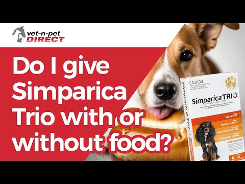 Do I give Simparica Trio with or without food?