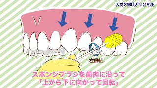 医療法人社団　スガタ歯科医院