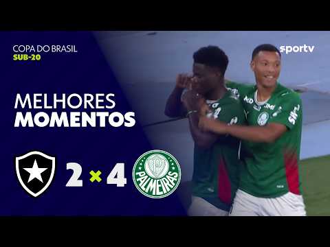Gols e melhores lances de Botafogo x Palmeiras