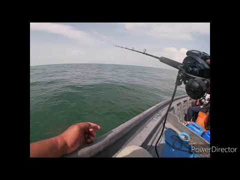 shimano force master 601 jigging segment