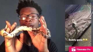 SahBabii - 7 squids Ft. R. Kelly (reaction)