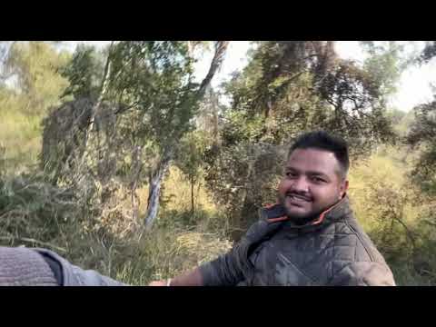 Horse ride in Patiala By long riders