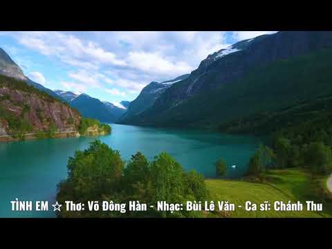 Tình em - Chánh Thu