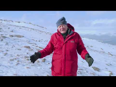 Attenborough's Life in Color 2021 - Hiding in Colour (Episode S1E2) #animals