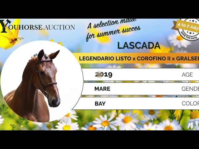 Lascada showvideo